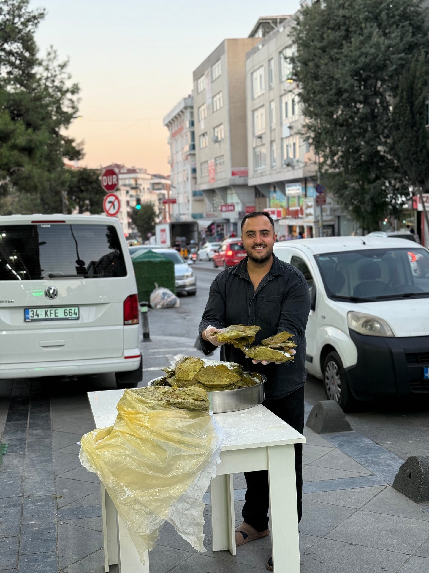 2025 yeni mahsül tokat yaprağı