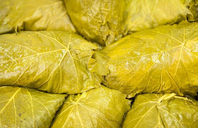 2025 yeni mahsül tokat yaprağı