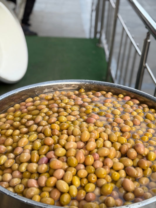 Gemlik yeşil zeytin